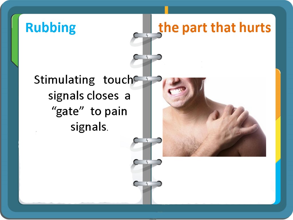 Rubbing the part that hurts Stimulating touch signals closes a “gate” to pain signals.